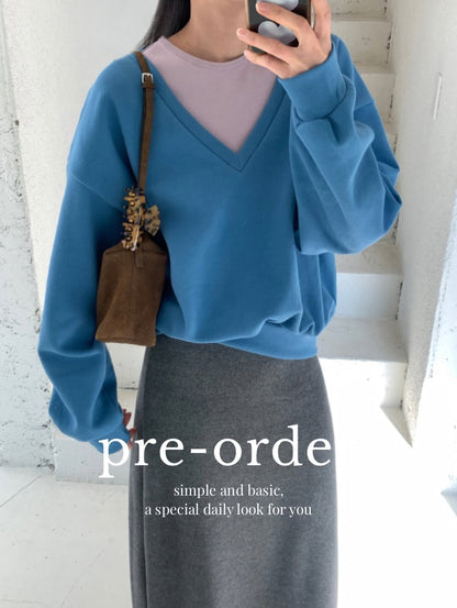 paro v-neck top (pre-order)