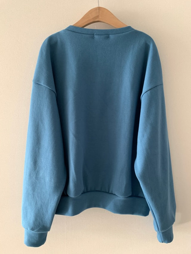 paro v-neck top (pre-order)